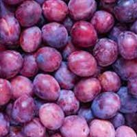 Dried plum