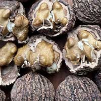 Black walnut